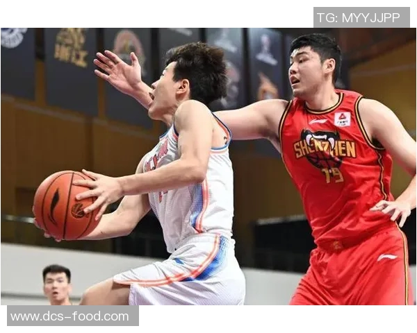 深圳篮球队实力分析：数据透视球队表现与未来发展潜力